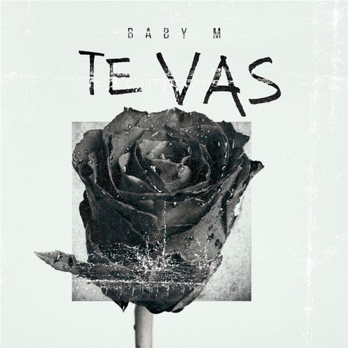 Te vas