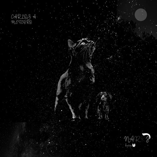 Release of the week