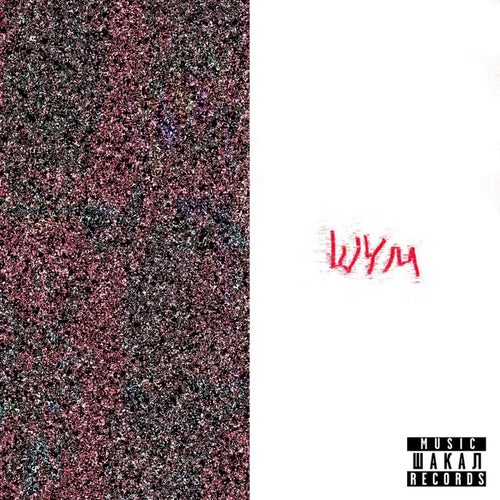 шум