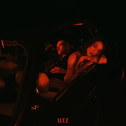 LUUZ
