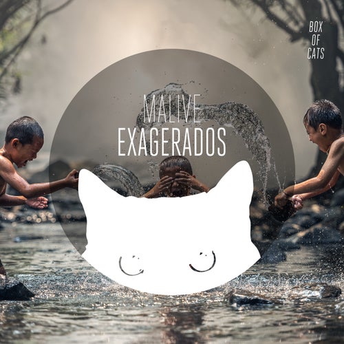 Exagerados