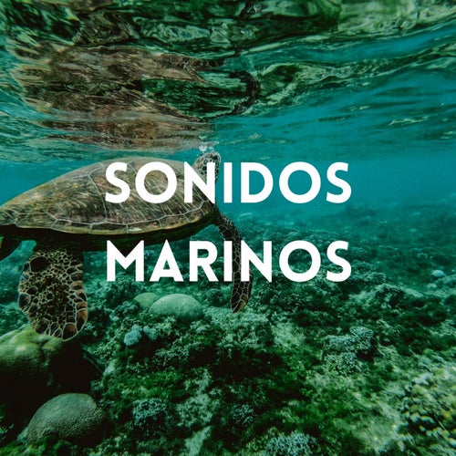 La Retro Sonora