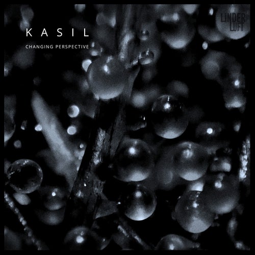 Changing Perspective