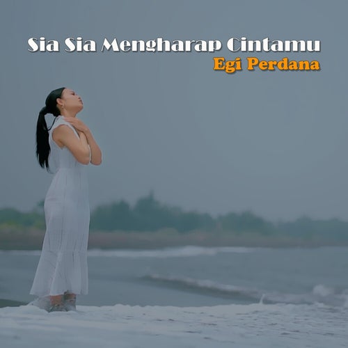 Sia sia Mengharap Cintamu