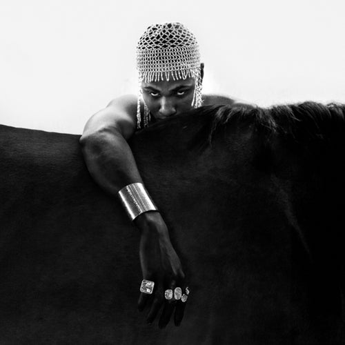 CABALLO NEGRO