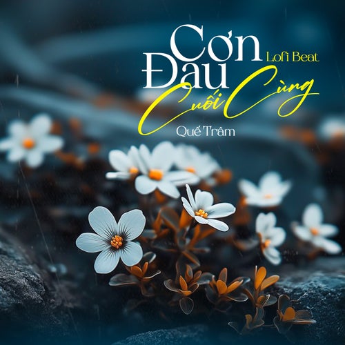 Cơn Đau Cuối Cùng (Beat) (Lofi Mix)
