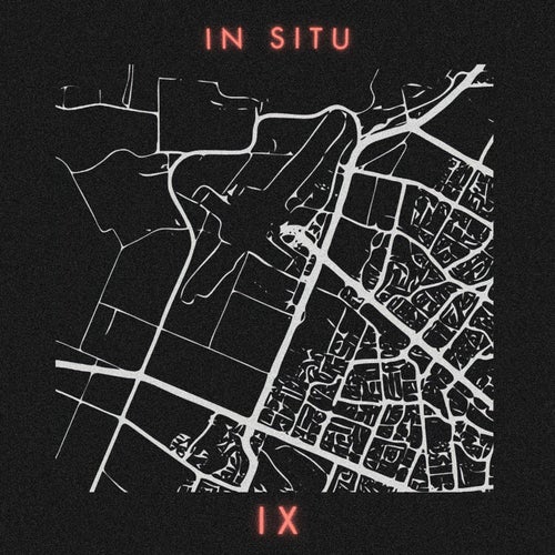 In Situ: IX