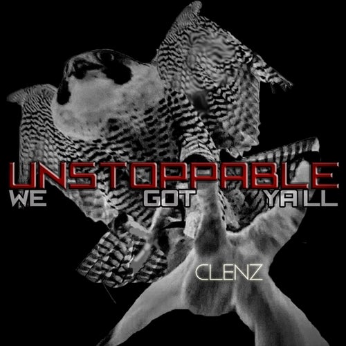 Unstoppable (We Got Ya'll)