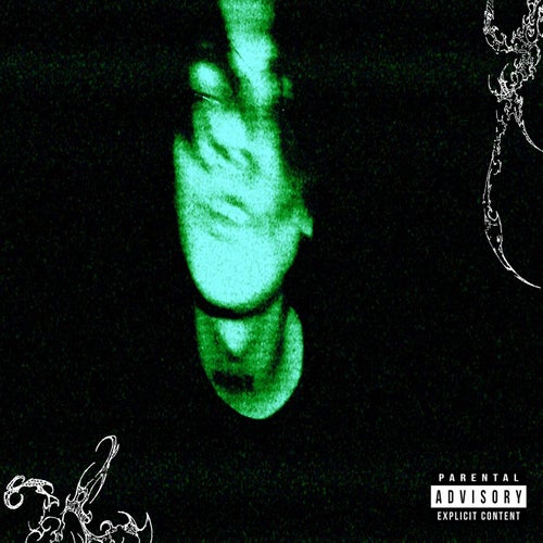 Release of the week