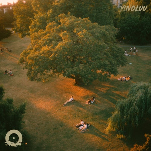 Shadows At Sunset