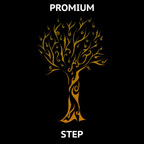 Step