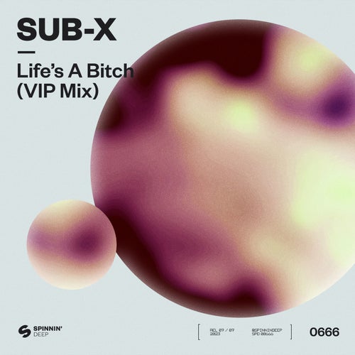Life's A Bitch (VIP Mix)