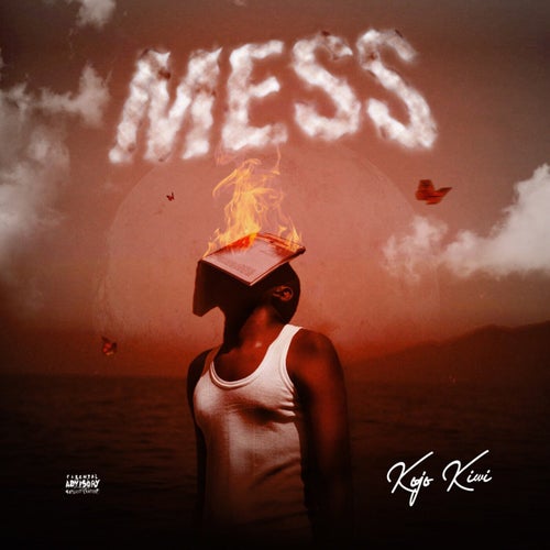 Mess