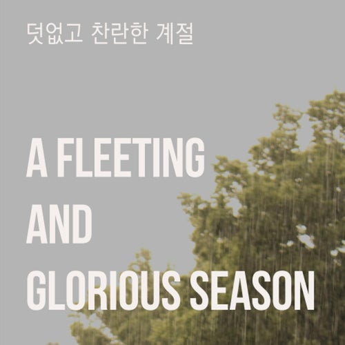 A Fleeting and Glorious Season