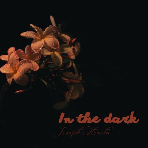 In the dark