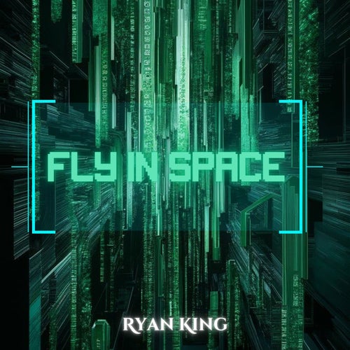 Fly In Space