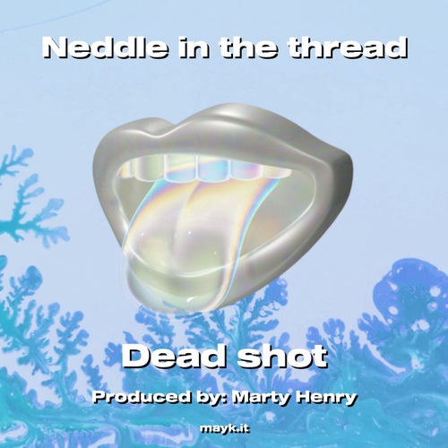 Neddle in the thread