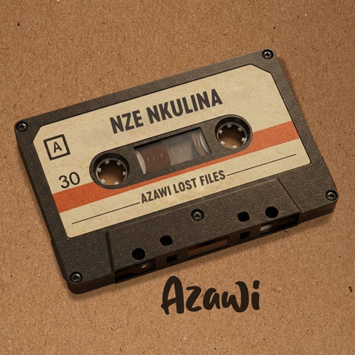 Nze Nkulina