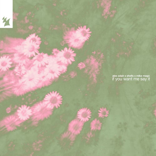 If You Want Me Say It