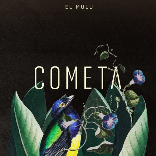 Cometa