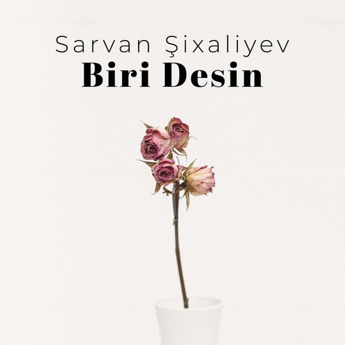Biri Desin