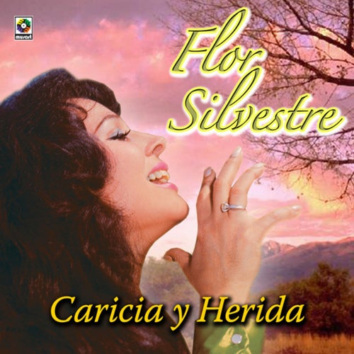 Caricia Y Herida