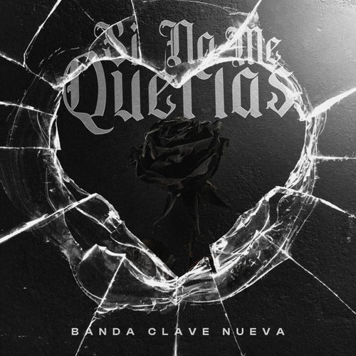 Si No Me Querias