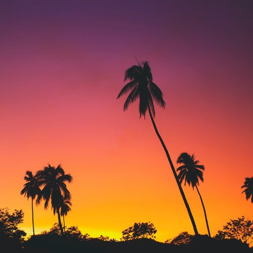 Sunset Coffee