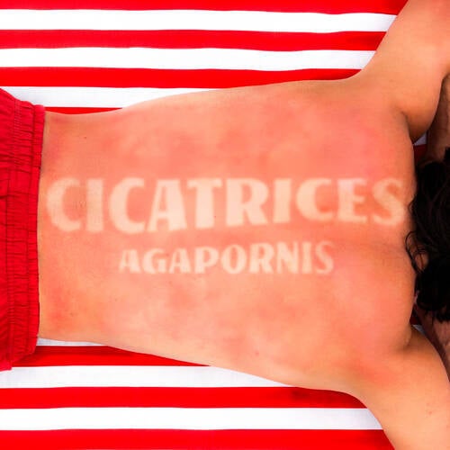 Cicatrices