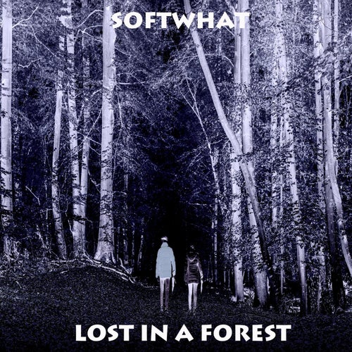 Lost in a Forest