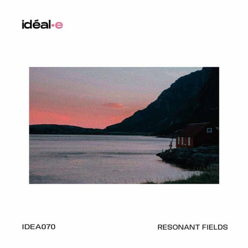 Resonant Fields