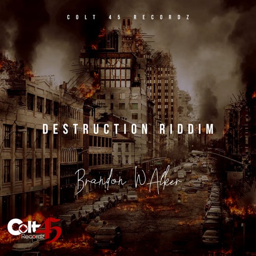 Destruction Riddim