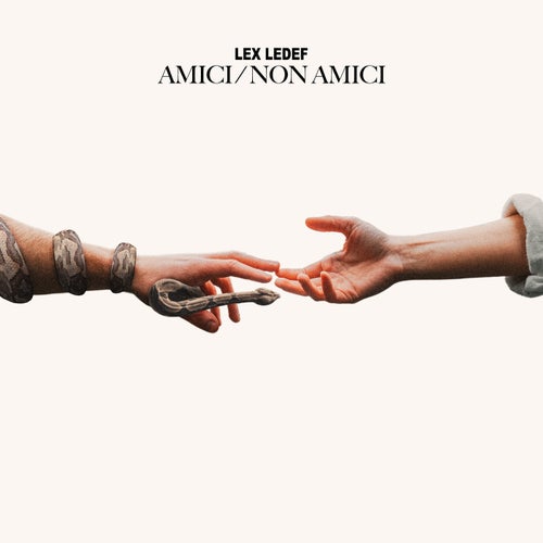 Amici / Non Amici