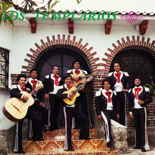 Los templarios