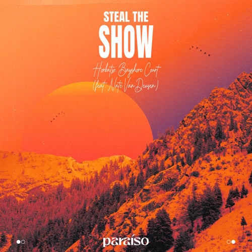 Steal The Show (feat. Nate VanDeusen)