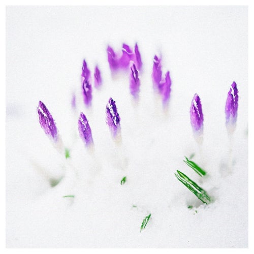 Winter and Spring
