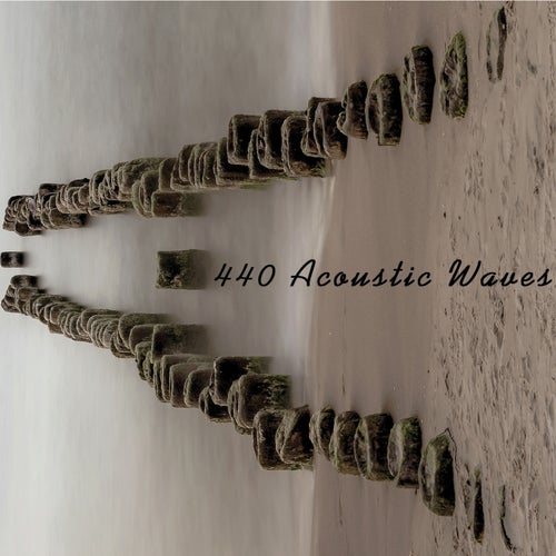 440 Acoustic Waves