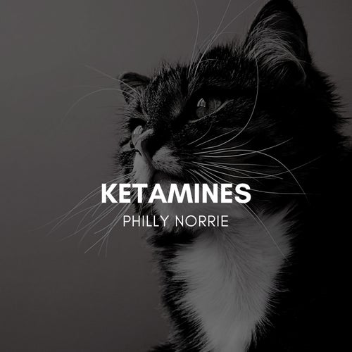 Ketamines