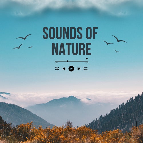 SOUNDS OF NATURE
