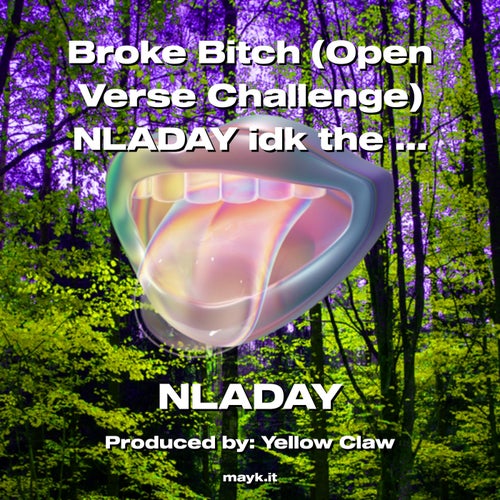Broke b**** (Open Verse Challenge) NLADAY idk the beat weird I tried tho LOL
