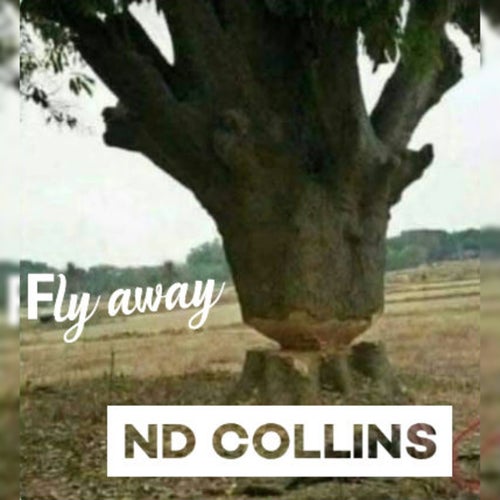 Fly Away (Live)