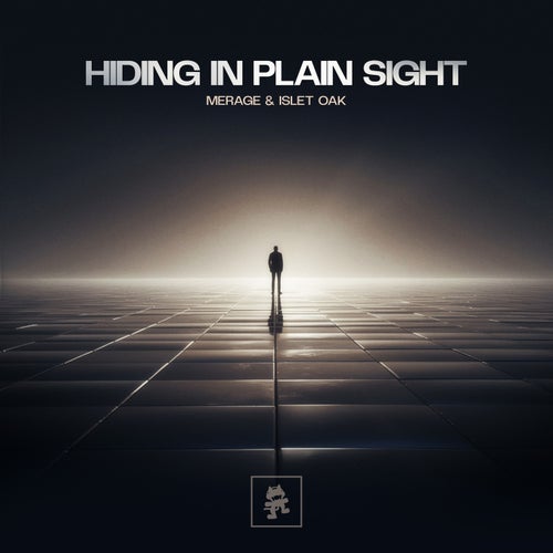 Hiding In Plain Sight