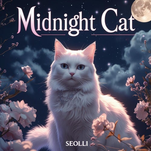 midnight cat