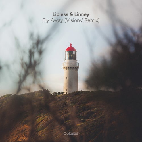 Fly Away (VisionV Remix) (feat. Linney)