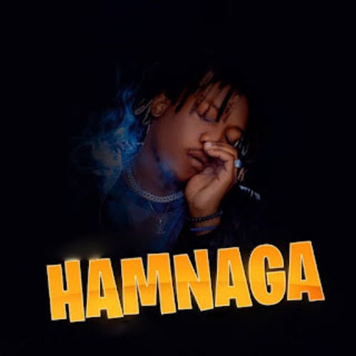 Hamnaga