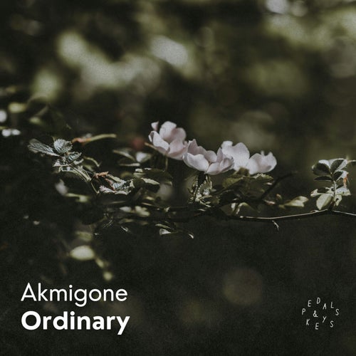 Ordinary (Piano Version)