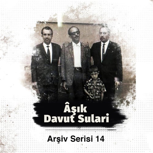 Arşiv Serisi (Volume 14)