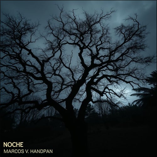 Noche