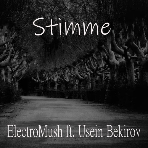Stimme (feat. Usein Bekirov) [Piano version]