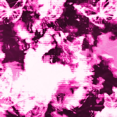 Rosa Shocking